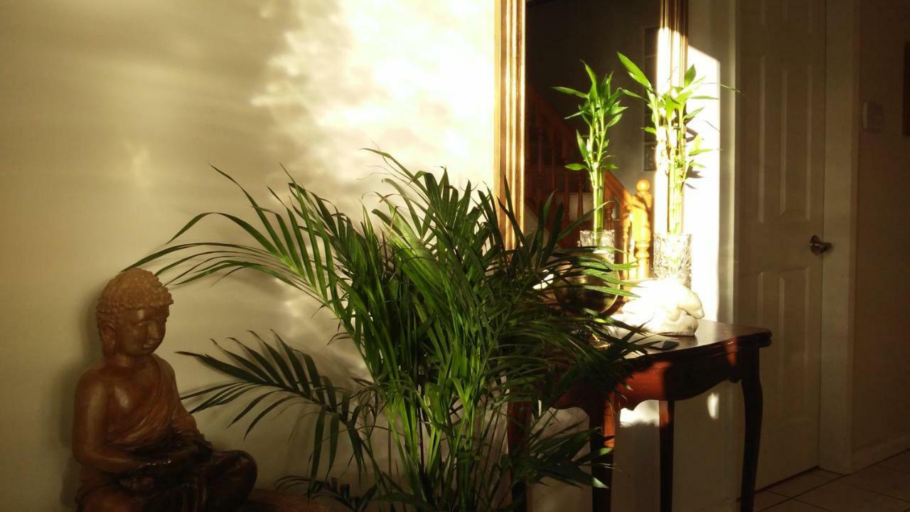 Burris Guest House Burnaby Ngoại thất bức ảnh